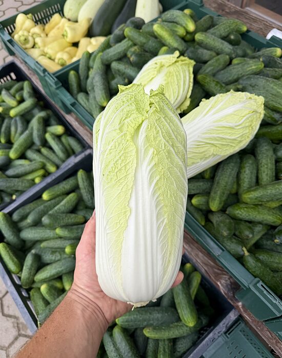 Ķīnas kāposti 500 gr