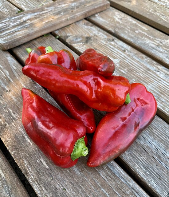 Paprika sarkanā 500 gr