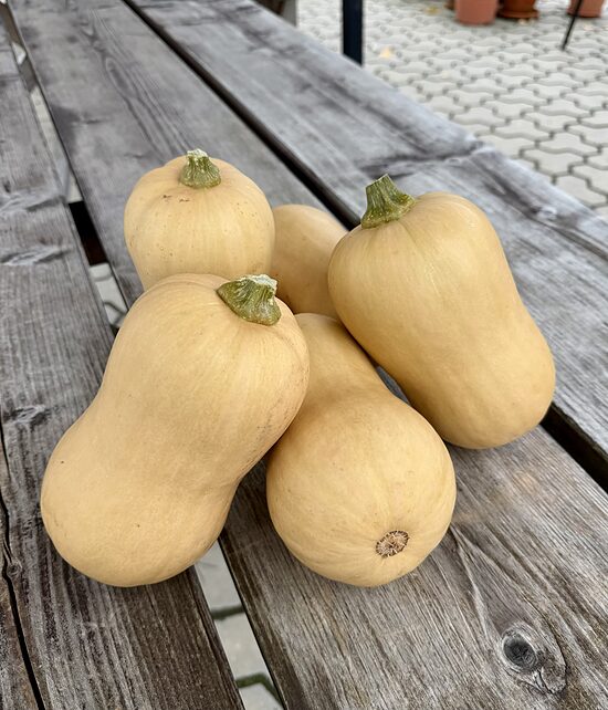 Sviesta ķirbji 1 kg